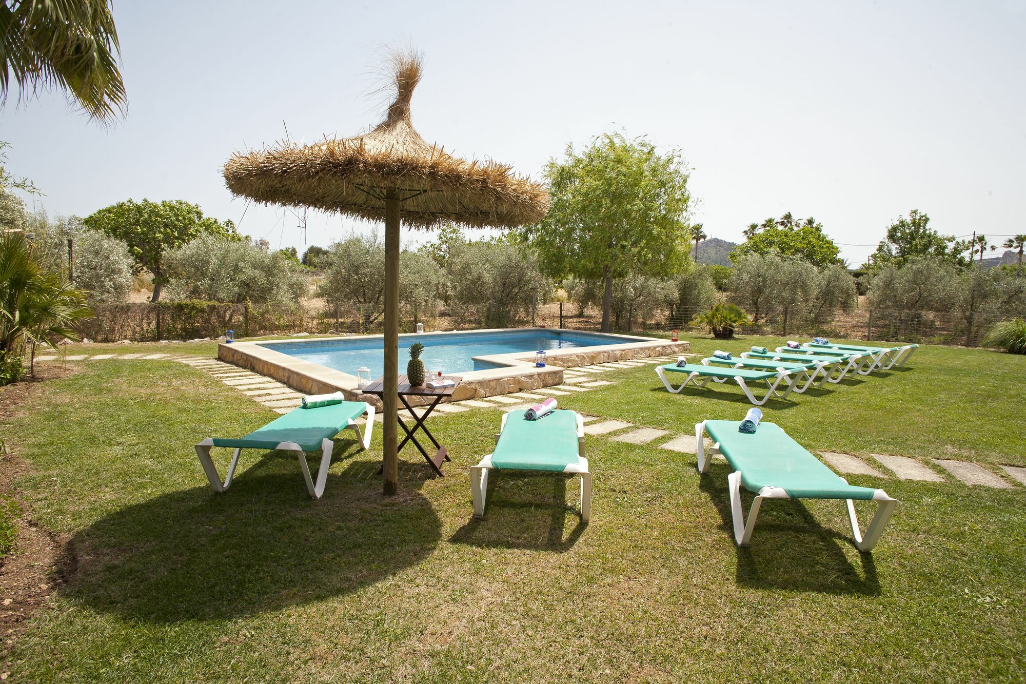 Villa Cal Mercader *